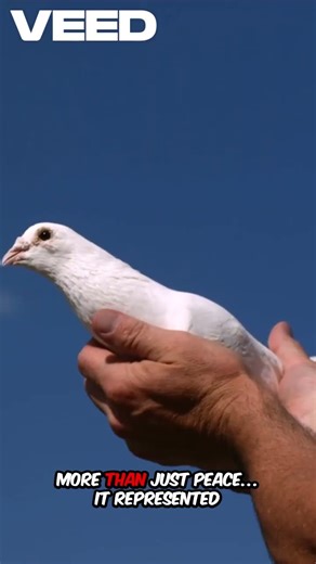 🕊️✝️ Hidden Meanings Behind Ancient Christian Symbols | Secrets You Never Knew! 🔍✨