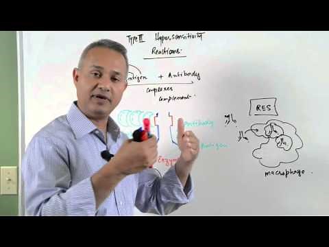 Immunology lecture 15 - Type III Hypersensitivity Reactions 2/6
