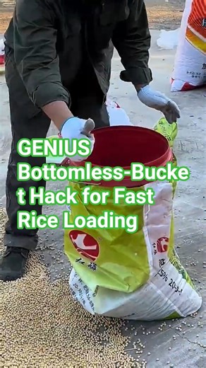 GENIUS Bottomless-Bucket Hack for Fast Rice Loading #satisfying #farmingtips #gardeningtips #short