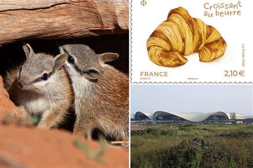 News of the World: What you missed this week internationally