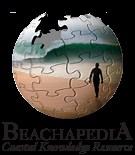 Hurricane Sandy - The Response