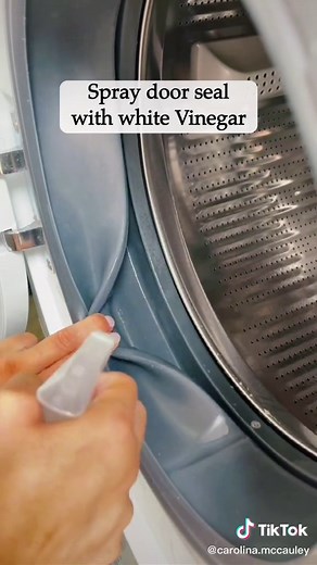 Carolina Mccauley - Home Hacks on TikTok