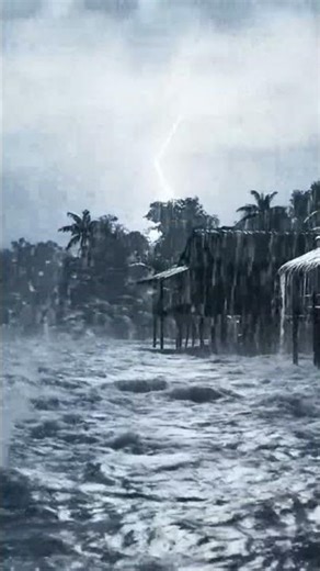 Relaxing Rain Focus And Study Backgrounds - Calm Rain