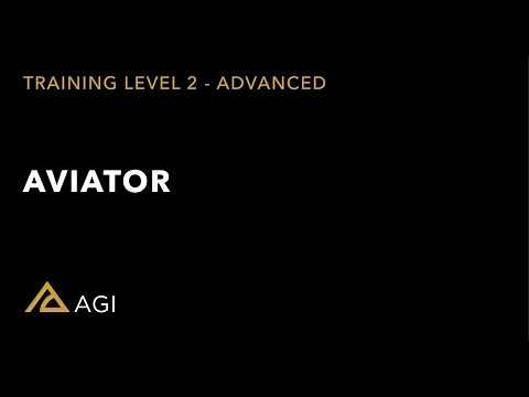 Lesson 17 Aviator