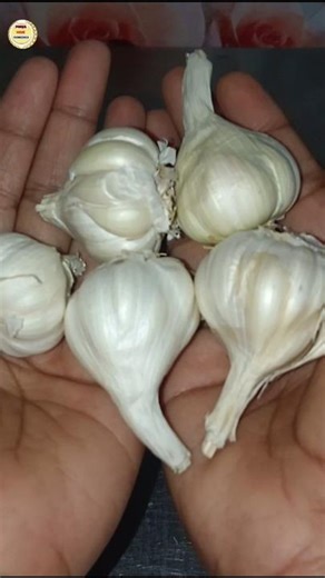 Grow long Nails Fast With This Kitchen Secret ,# shorts video