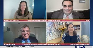 Immigration Law Experts on the Courts' Role in Reform