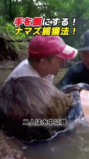 手を餌にする！ ナマズ捕獲法！ #ナマズ #巨大魚 #魚釣り #漁の方法 #衝撃映像