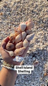 Live horseshoe crabs & big shell piles on Shell Island!✨🐚 Found on tour with @everwaterchartersandtours in the 10k islands. Save $5 on a 4-hour shelling tour with code letsgoshelling. My shark tooth ring is from @oceansoulohana. Use code LGS20 for 20% off your first order.🩵 #shelling #seashells #beachfinds #swfl #letsgoshelling #floridaseashells #shellisland #10kislands #floridalife #shellingtour | Let's Go Shelling