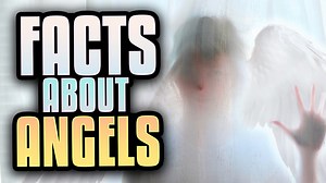 48K views · 4.4K reactions | 7 Interesting Facts About Angels | Mike Signorelli | Facebook