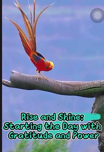 4.6K views · 52 reactions | Rise and Shine: Starting the Day with Gratitude and Power | Tara A Tran | Facebook