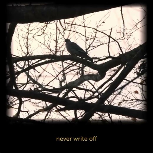 #part4 of my #alittlerespect #vocal #cover #song by #erasure with #pigeon #respect #video ✌️