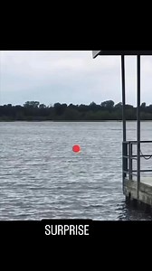 Color blind test | Chris Calleja