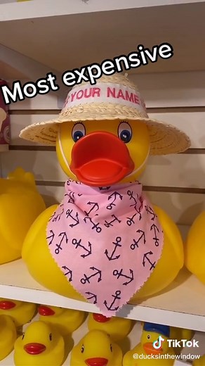 Rubber Duck Collection: Explore Our Duckie Exhibit!