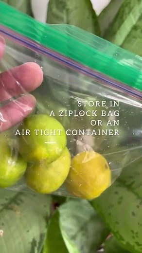 Learn how to store lemons by Archana’s Kitchen