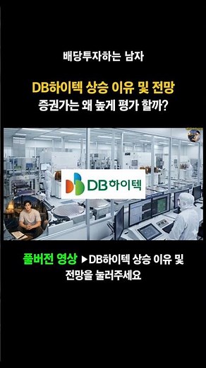Why is DB Hitek Rising and What is its Outlook? Why Does Wall Street Rate it So Highly? - The Div...