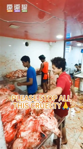 🔴 Inside a Chicken Slaughterhouse 🔴