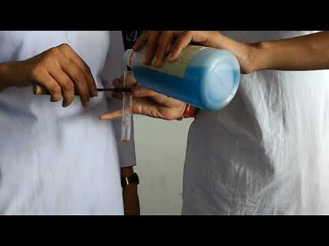 Class 12th- Practical-Testing of Food Stuff (Carbohydrate,Protein Test)