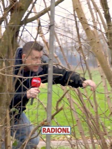 Top 20 Nederlandstalige Muziek van 2025