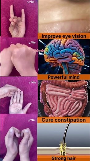 Dailymudras #yogafushionpriyanshi #proyanshidiwakarvlogs #meditationmusic #meditationpractice #saaa