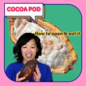 Opening & Tasting A Cocoa Pod! | Emmymade