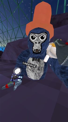 Beach map glitch #vr #gtag #gt #gorillatagvr #gorillatag #glitch