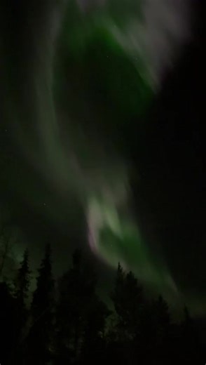 Exploring the Beauty of Northern Night Skies