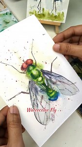 4.1K views · 76 reactions | Watch how I capture this tiny fly in a...