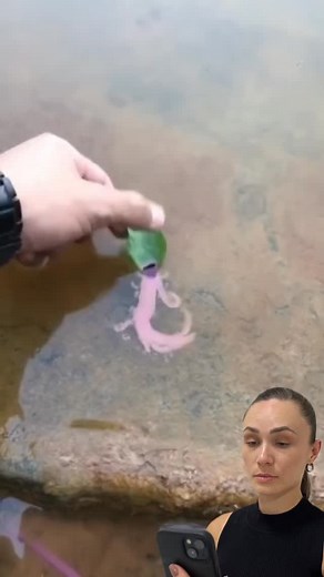 How to make a leaf move on water | Raiza Show