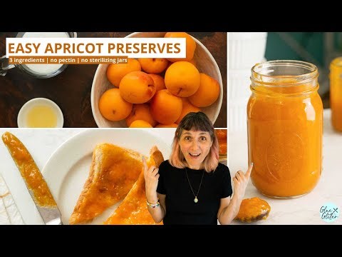 Apricot Freezer Jam 🍑