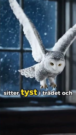 Swedish Word of the Day #2277: uggla - Discover the Meaning of Owl! #swedishwordoftheday