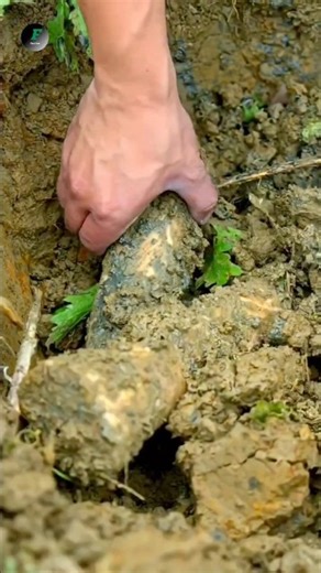 This Art Is Made From Real Bones