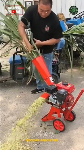 Amazing Mini Chaffcutter Machine
