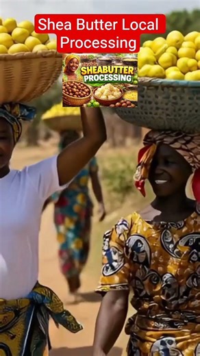 Shea Butter Processing