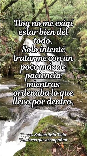 Tratarte con paciencia también es amor propio | Reflexión real