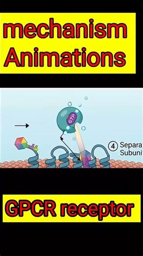 Gpcr receptor mechanism 😮 3d animation #pharmcology #trendingshortspharmacology