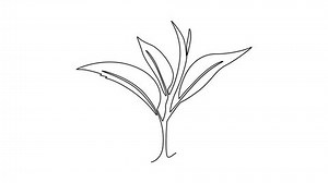 Animated Self Drawing Continuous Line Draw Stock Footage Video (100% Royalty-free) 3630213331 | Shutterstock