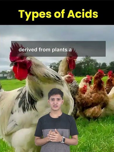 types of acids | study tips | letstute | Acids | Science behind acids