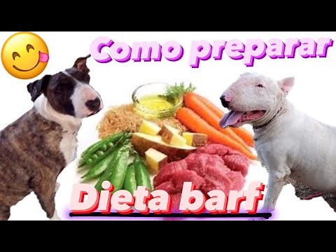 HOW TO PREPARE BARF FOOD 🍗🥦 FOR YOUR DOG / 100% EFFECTIVE AND ECONOMICAL BARF DIET 💸🛒🥗
