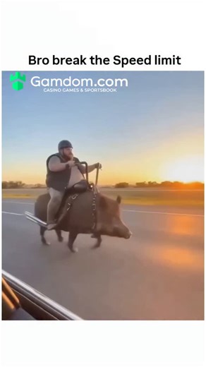 NexGenVideos on Instagram: "A pig drive is a crucial industrial maintenance process used to clean or inspect pipelines without stopping the flow of product. A device called a "pig" is inserted into a pig launcher, propelled by the pressure of the fluid, and travels the length of the pipe until it reaches a pig receiver. Types of Pigs Utility Pigs: Used for physical cleaning and debris removal. ILI Pigs (Smart Pigs): Equipped with sensors to detect corrosion or cracks. #Engineering #Pipeline #Mai
