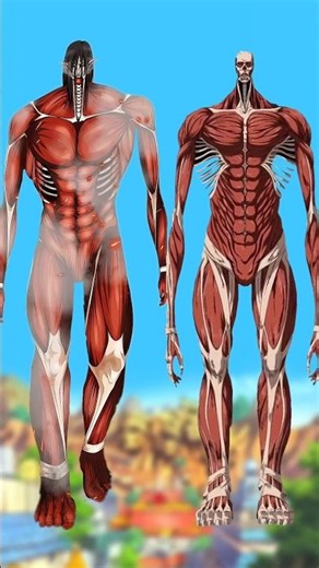 Eren 🆚 Armin