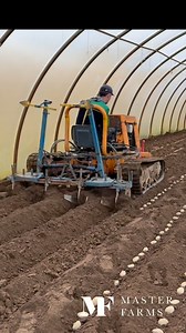 Morrish crawler banking Jersey Royal potatoes 🇯🇪🥔 . Full video - YouTube - Master Farms . https://youtu.be/zjRz-j1Yz1I?si=u34CiS0Xt0Ly2ion . . . . . . . #crawler #potatoes #jerseyroyals #agriculture #jersey #farming #agricultura #agricultureworldwide #ağrı #agronomia #agri #masterfarms | Master Farms