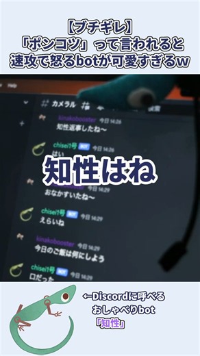 【ショート動画公開】Discord bot開発秘話：悪口からサーバを救うぽんこつbot「知性」【Discord】
