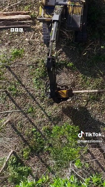 First Look at Planet Earth 3 feat. Music by Raye, Bastille & Hans Zimmer | Trailer