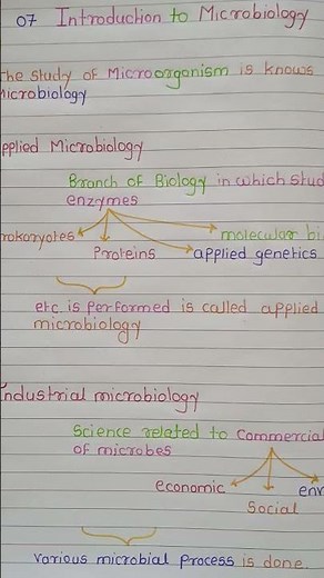 Microbiology Bets notes