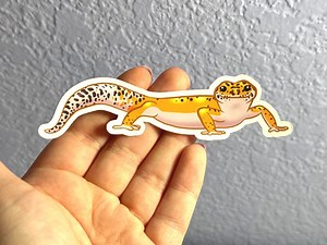 Leopard Gecko Sticker - Etsy