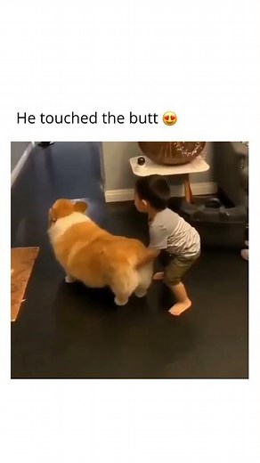 Kid Sticks Finger In Dogs butt