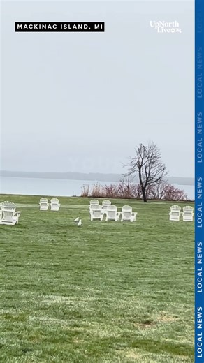 UpNorthLive's Madison Stoddard explored Mackinac Island for the 2025 opening season! She checked out the fudge shops, the year round market, and the Mackinac State Historic Park. https://upnorthlive.com/news/local/mackinac-island-welcomes-visitors-as-hotels-and-businesses-reopen-for-the-new-season# | UpNorthLive