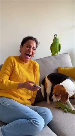 Parrot Throws Lizard at Sleeping Dog – What Happens Next Is Hilarious! 😂🐶🦜
