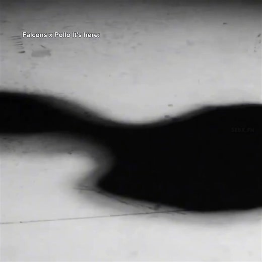 Peterbot and Pollo in Fortnite: A New Adventure Begins