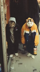 POKER Design on Reels